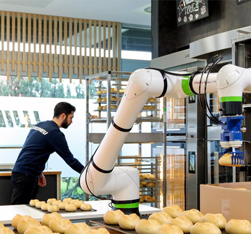 Food Factory Automation